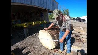 sawing a big ugly pine log# 300