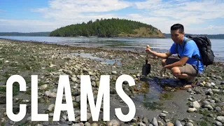 Catch & Cook : Butter Clams in Washington