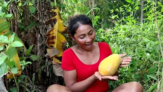 Survival skills: Finding Natural Papaya in Wild for Food - Ripe papaya eating delicious