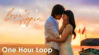 【One Hour Loop】The Forbidden Flower《夏花》 | "Love Again" by Kevin