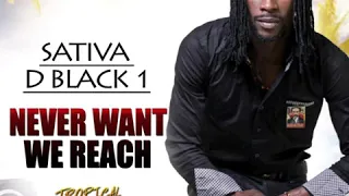 Sativa D Black1 - Never Want We Reach -Official Audio 2018