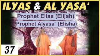 Prophets of Islam | Ilyas & Al Yasa' - REACTION
