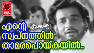 Ente Swapnathin - Achaani (1973) | K.J Yesudas | P Bhaskaran | G Devarajan | Film Songs