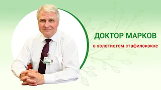 Staphylococcus aureus. Symptoms, causes and treatment. Staphylococcus in children. Dr. Igor Markov