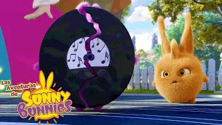 Las Aventuras de Sunny Bunnies | Bailen Conjeos, Bailen | Serie 3 | Dibujos para niños