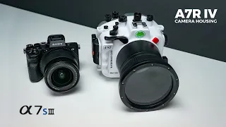Compatible or not? A7S III in A7R IV Sea Frogs camera housing