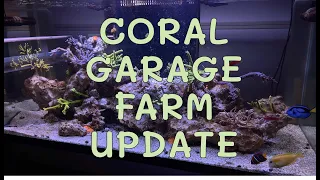 Upsizing My Coral Farm