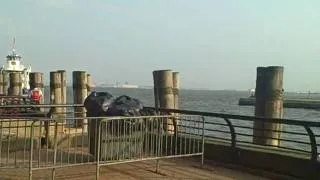 View of Statue of Liberty from Ellis Island