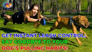Get Instant Leash Control: Say Goodbye to Your Dog's Pulling Habits! - Ani Training