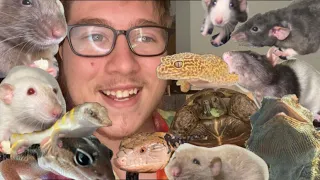 MEET ALL MY PETS | 20 pets | Sept 2021