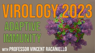 Virology Lectures 2023 #14: Adaptive immunity