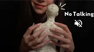 ASMR| No talking Acupuncture doll Massage (scratching, gripping, massage movements)