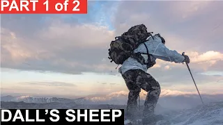 Cutting it Close Dall Sheep Part 1