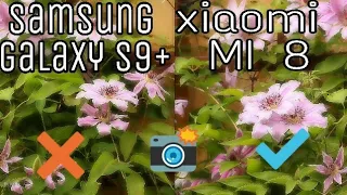 Xiaomi MI 8 vs Samsung Galaxy S9 plus camera comparison