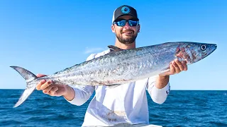 NONSTOP Fishing Offshore for Kingfish, Grouper, & Snapper