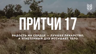 Притчи 17. Современный перевод Библии #BibleVision