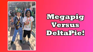 Megapig Vs. Delta Pie at TouhouFest 2024! | Touhou Character Karuta (Card Matching)