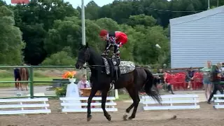 В конноспортивном клубе деревни Ермолино прошли первенство и чемпионат области по вольтижировке