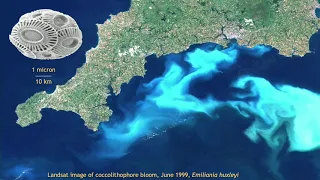 #CALPE20 Annual changes in PHYTOPLANKTON community: Factors driving changes in STRAIT of GIBRALTAR