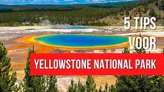 5 tips voor Yellowstone National Park