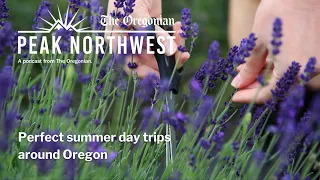 Perfect summer day trips around Oregon