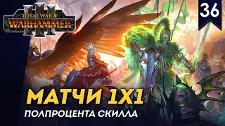 [СТРИМ] Матчи 1х1 | Полпроцента скилла №36 | мультиплеер Total War: Warhammer 3