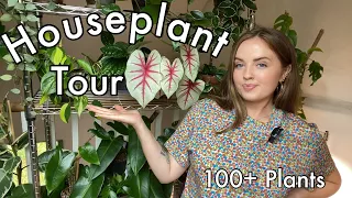 Houseplant Tour Summer 2021 | My Full Collection! (100+ plants)