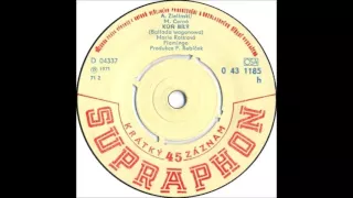 Marie Rottrová & Flamingo - Kůň bílý [1971 Vinyl Records 45rpm]