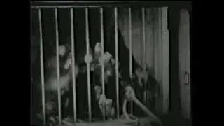 Frans De Waal Moral Behavior clip