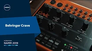 Behringer Crave - Знакомство с Новинкой!