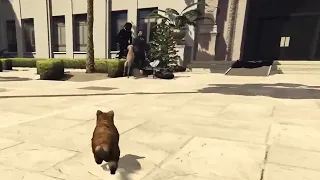 Yeager's Attack Animals | NoPixel