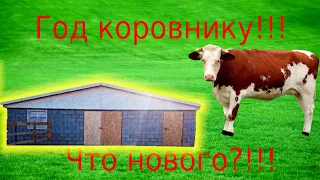 Год сараю для коров!!! Что нового?!!