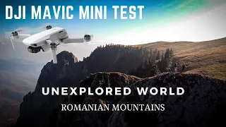 DJI Mavic Mini | Mountains of Romania | Cinematic Video