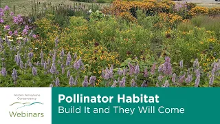 Pollinator Habitat: Build It and They Will Come