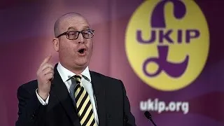 UKIP получила нового лидера