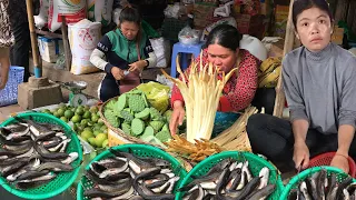 Cambodian Routine Food & Lifestyle In Cambodia Market , Fish , Vegetable , pork & More