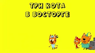 ТРИ КОТА - ОГО СКОЛЬКО ТУТ ИНТЕРЕСНОГО ФУТАЖ для ВИДЕО