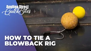 How To Tie A Blowback Rig – Carp Fishing Quickbite