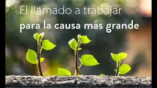 El llamado a trabajar para la causa más grande - Parte 2 (Marcos 6:7-13, 30-31)