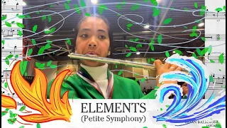 "Elements" by Brain Balmages 🌿🌊🔥 flute perspective w/ sheet music