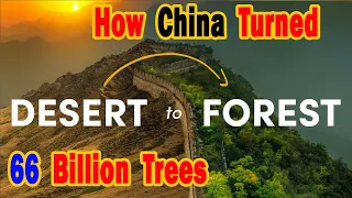 How China is Reforesting the Gobi Desert into Forest | The Great Green Wall of China