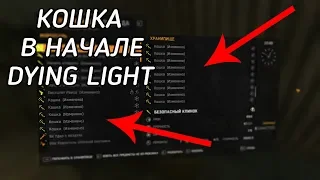 КАК ПОЛУЧИТЬ КОШКУ В НАЧАЛЕ ИГРЫ DYING LIGHT [2018-2019]///ПЕРЕЗАЛИВ