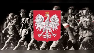 Польская военная песня "Szara piechota"| Polish war song "Gray infantry"