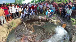 ऐसा कारनामा कैमरे में पहली बार कैद हुआ, एक साथ इतने सारे जहरीले सांपों से भरा ये मंजर!😱 Snake Rescue