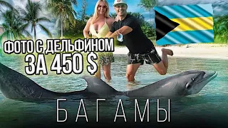 VLOG Багамы: Как Нас ОБМАНУЛИ В Отеле Атлантис, Фотографии С Дельфинами За 450$