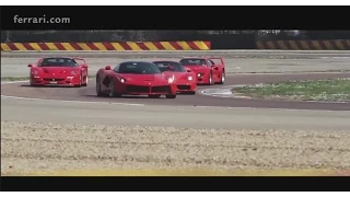 Four Ferrari thoroughbreds for a special driver