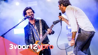 Navarone - Live at Pinkpop 2022