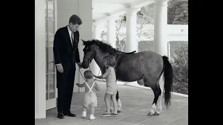 Out of Paw-ffice: Presidential Pets in the White House