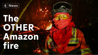The other Amazon forest fire - that no one is talking about