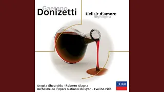 Donizetti: L'elisir d'amore / Act 1 - "Voglio dire, lo stupendo"